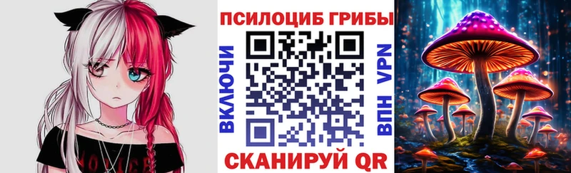 Галлюциногенные грибы Magic Shrooms  Навашино 